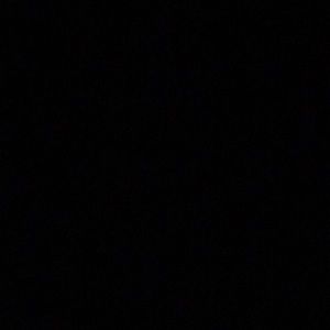 Meet your Posher, Nicki